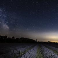 Oct 20 : Philippe DUVAL