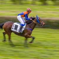 Oct 34 : Catherine BOURGEOIS