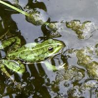 Oct 41 : Jean Paul DELALANDE