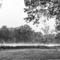 Nov 05 : Catherine BOURGEOIS