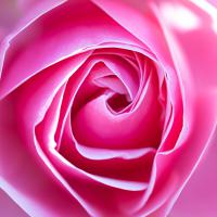 Nov 08 : Christian SIRET