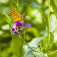 Nov 29 : Catherine BOURGEOIS