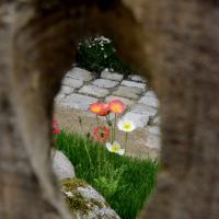 Dec 26 : France COTONNEC