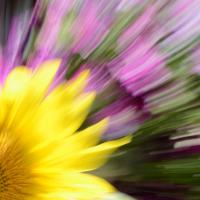 Dec 30 : France COTONNEC