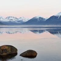 Jan 05 : Sylvie CUMONT