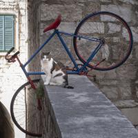 Jan 11 : Jean Paul BOURGEOIS