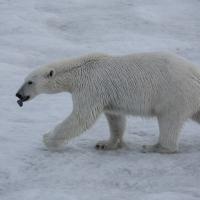 Fev 04 : Jean Paul BOURGEOIS