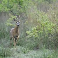 Fev 09 : Philippe CUMONT