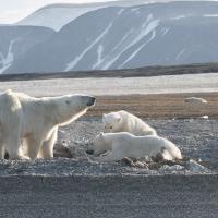 Fev 10 : Jean Paul BOURGEOIS