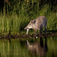 Fev 20 : Philippe DUVAL