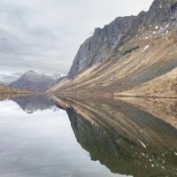 Fev 35 : Sylvie CUMONT