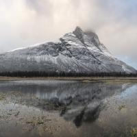 Fev 39 : Sylvie CUMONT