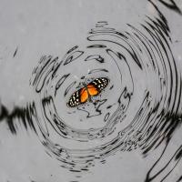 Fev 45 : Pascal SOUCHARD