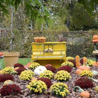 Mar 16 : France COTONNEC