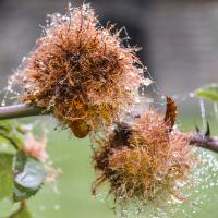 Mar 19 : Aurélie PILARD