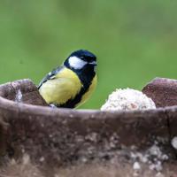 Mar 22 : Jean Alliot