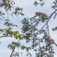 Mar 25 : Jean Alliot