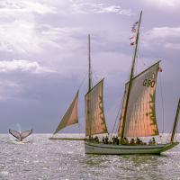 avril 02 : Catherine GARREAU