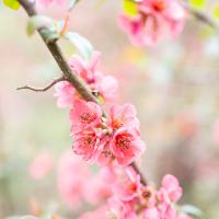 avril 11 : Antony FEUILLET