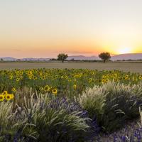 avril 17 : Catherine BOURGEOIS
