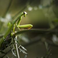 avril 58 : Philippe DUVAL