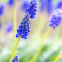 avril 15 : Antony FEUILLET