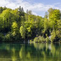 avril 19 : Catherine BOURGEOIS