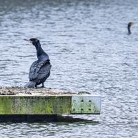 avril 32 : Emmanuel ALANVERT