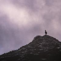 avril 59 : Philippe DUVAL