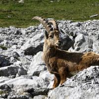 13 mai : Pascal SOUCHARD