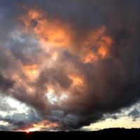 29 mai : Philippe CUMONT