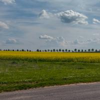 34 mai : Jean Paul DELALANDE