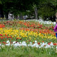 48 mai : France COTONNEC