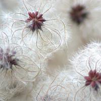 juin 14 : Aurélie PILARD