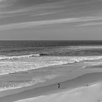 juin 36 : Catherine BOURGEOIS