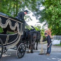 juin 44 : Sylvie CUMONT