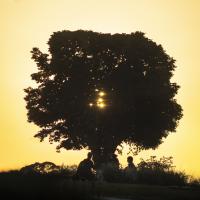 juin 49 : Aurélie PILARD