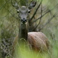 oct 23 : Philippe CUMONT