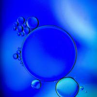 oct 46 : Catherine BOURGEOIS