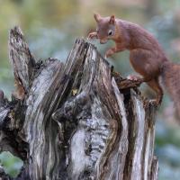 nov 06 : Philippe DUVAL