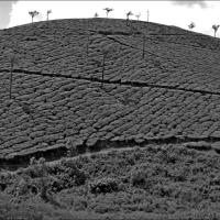 nov 16 : Jean Paul DELALANDE