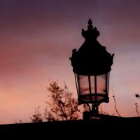 nov 49 : Sébastien RACHET