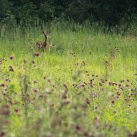 dec 04 : Jean Paul BOURGEOIS