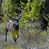 dec 19 : Philippe CUMONT