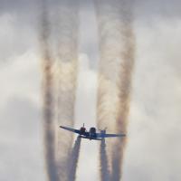 dec 20 : Sylvie CUMONT