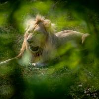 dec 27 : Antony FEUILLET