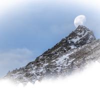 fev53 : Philippe DUVAL