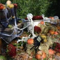 fev01 : France COTONNEC