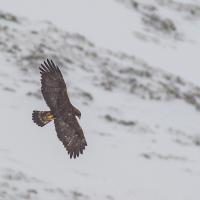 fev22 : Philippe DUVAL