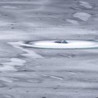 fev24 : Philippe DUVAL